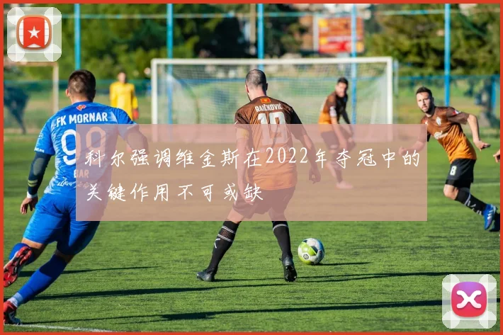 科尔强调维金斯在2022年夺冠中的关键作用不可或缺