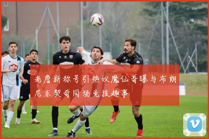 老詹新称号引热议魔仙哥曝与布朗尼东契奇同场竞技趣事