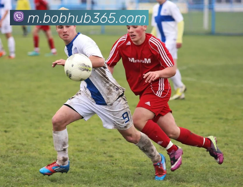 BOB体育品牌故事